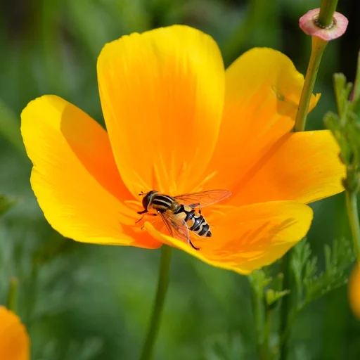c7娱乐博彩牌照